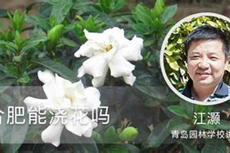 猪粪能直接给果树施肥吗有什么坏处