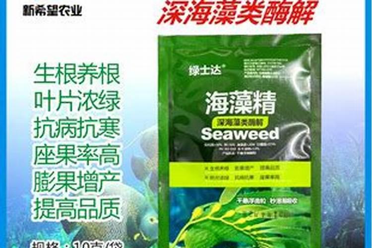 辣椒苗脱叶子怎么办