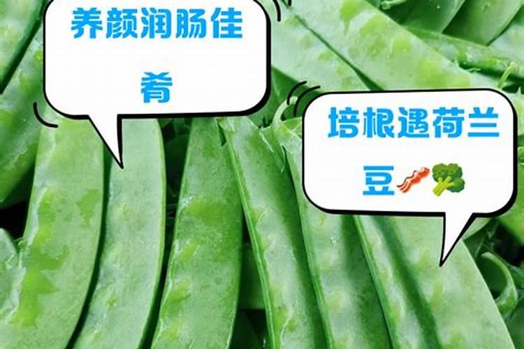 荷兰豆用什么肥料最好