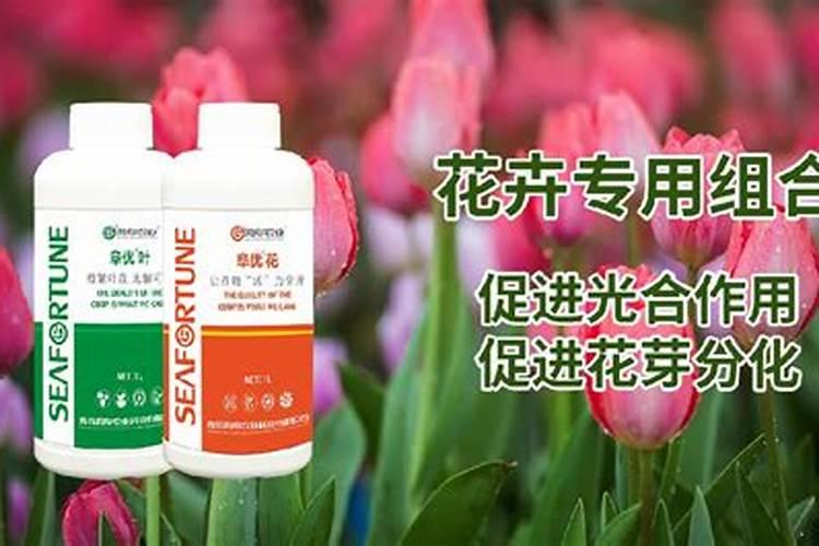 苦荞茶保质期多久