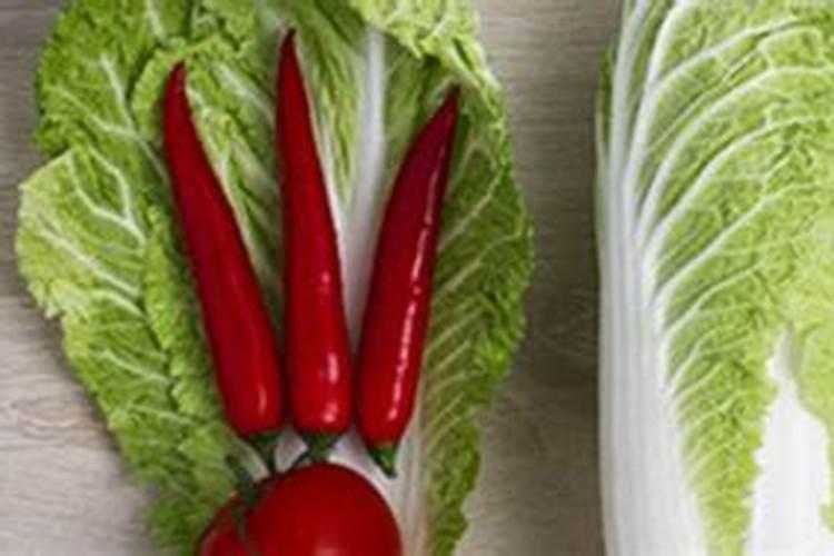 买植力康叶面钙肥、碳肥哪个公司的好一点呢？