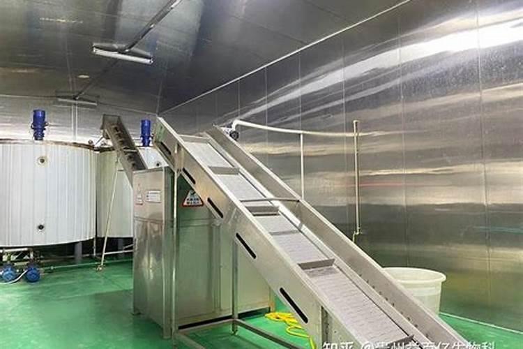 山东蓬莱特产:蓬莱地生子