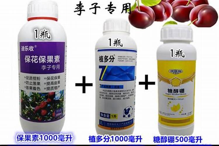 春茶前期管理的九大步骤