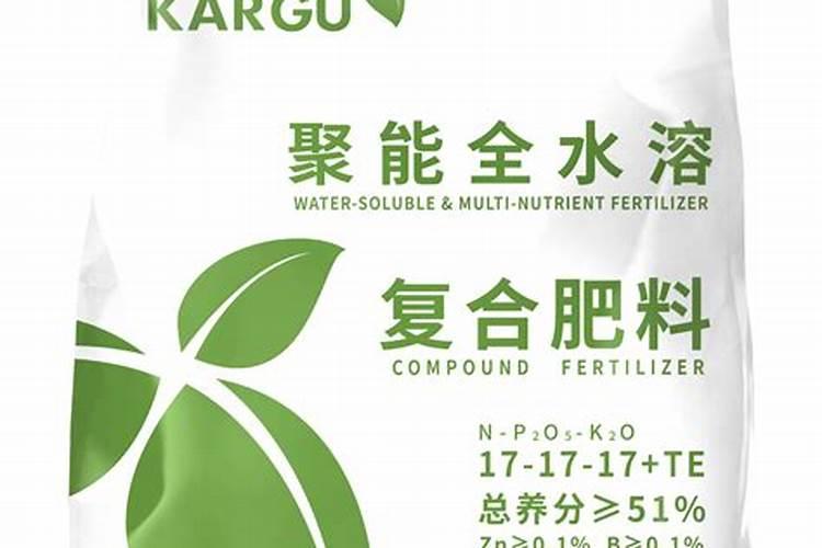 富贵竹不生根怎么办