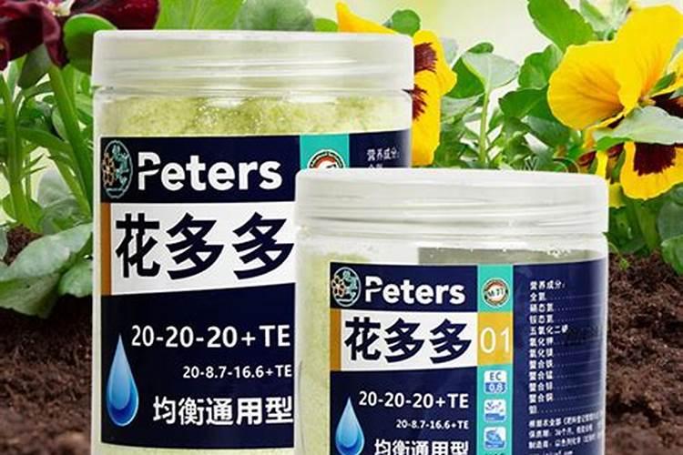 葡萄如何膨大