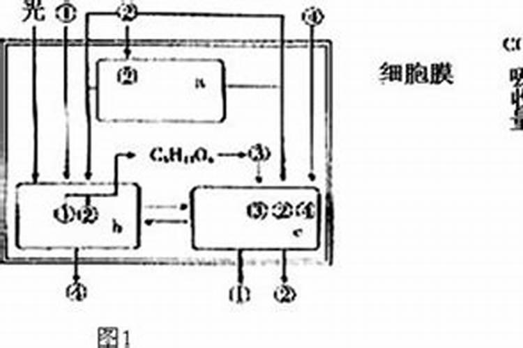 农村种地是农家肥好还是化肥好？