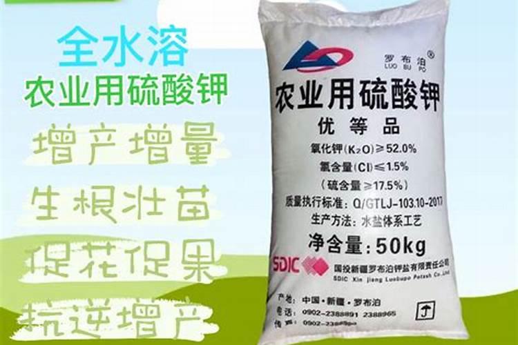 洛阳市村级道路养护管理办法(试行)