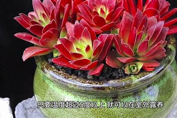 液体氮肥的使用方法 液体氮肥几天见效