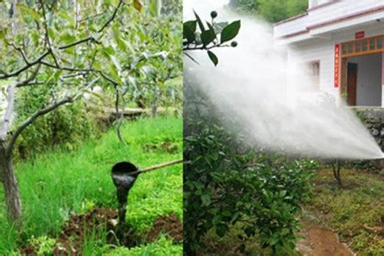 硫酸铵水溶肥什么季节使好？