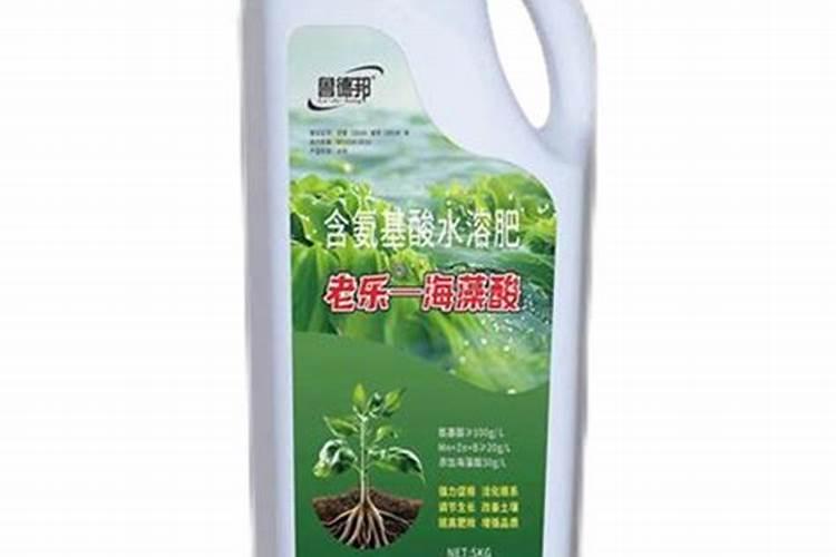 青菜的种植方法和时间