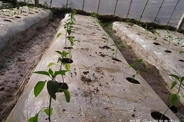 谁知道水冶周边的一些地方听说都不要建房了,要整体搬迁了,咋回事...