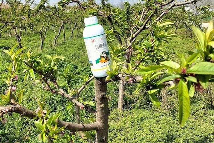 硝酸钙的作用和用途是什么？