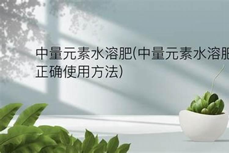 lv中古芭比龙真假对比