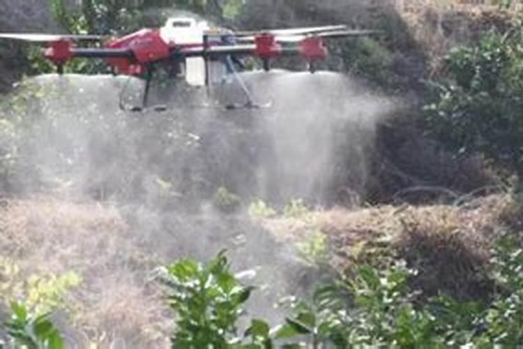 给花打药吸了哔虫林怎么办