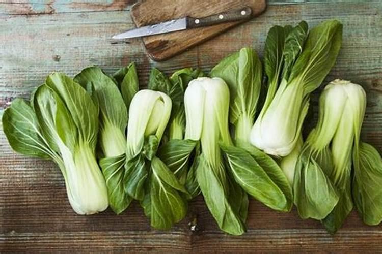 桂花树卷叶病最怕三个药