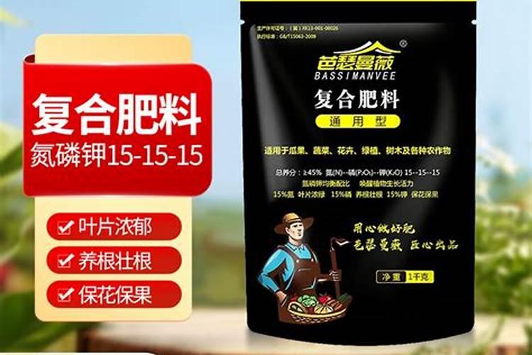 多肉可以施复合肥吗