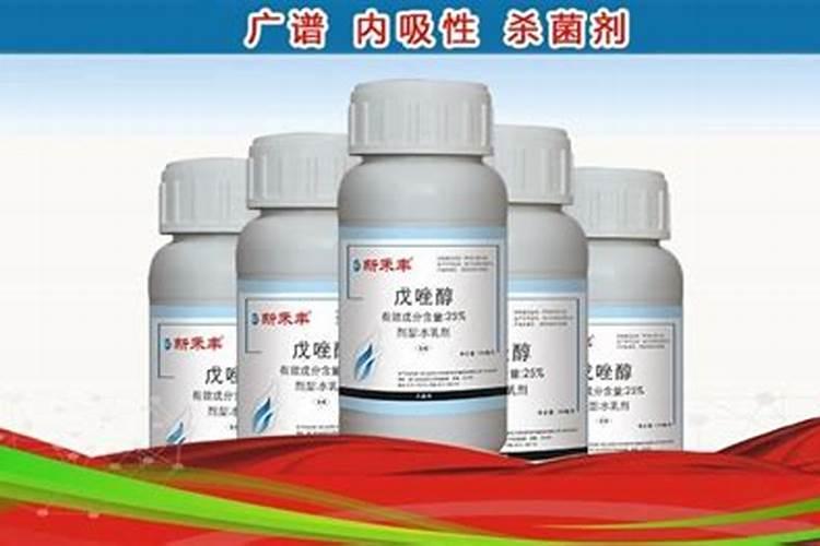 兰花用什么叶面肥最好？