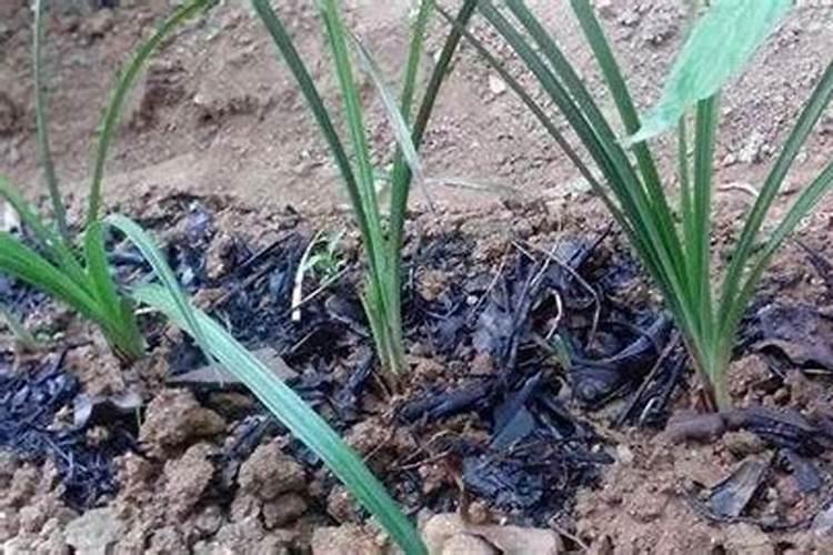 多乐士厂址在哪里