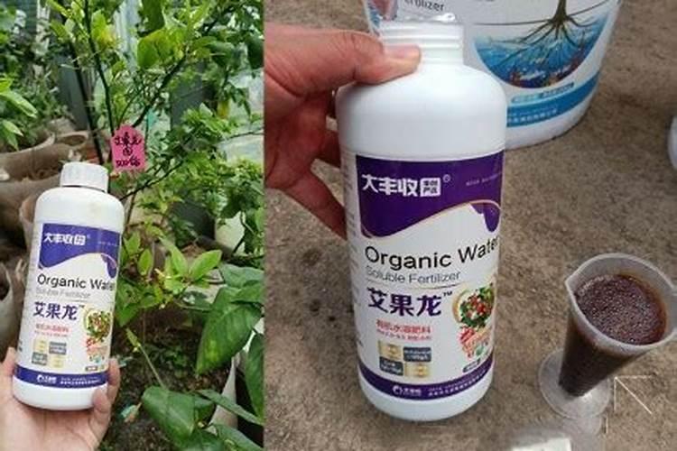 稀土包括哪些元素