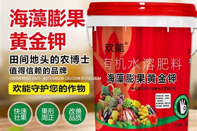 金叶莲花小金豆最简单三个步骤