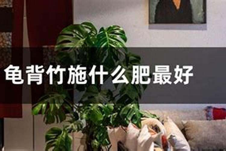 废弃的果皮蔬菜放在桶里自然腐烂后可以做肥吗？
