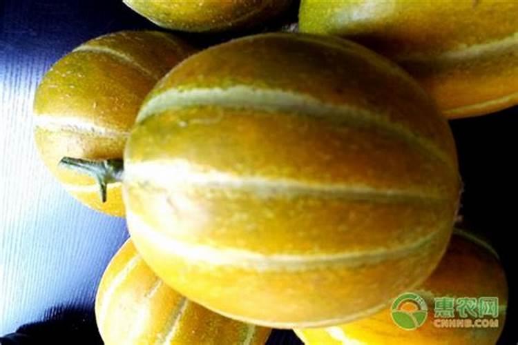 俄罗斯2024年森林立法生效,这几点计费有了改变