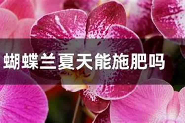 夏天能给花施肥吗