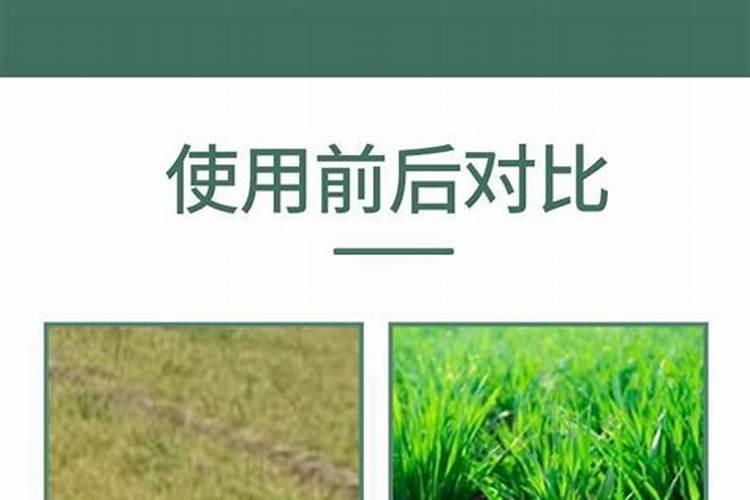 黄瓜得了霜霉病以后叶子都干没了,有什么办法让黄瓜快速长秧吗？百度...