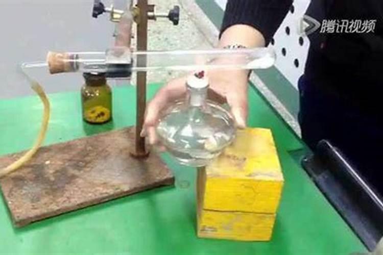 山苦荬的养殖方法