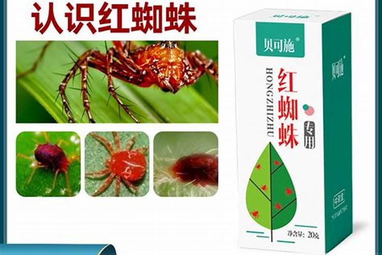 什么时候给花施肥最好 何时给花施肥最好