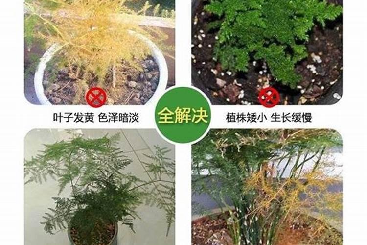 3900元/吨 国产氯化钾再迎史诗级行情