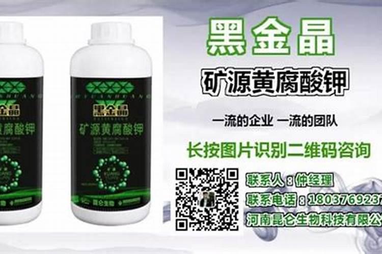 碱性土壤适合种植什么蔬菜
