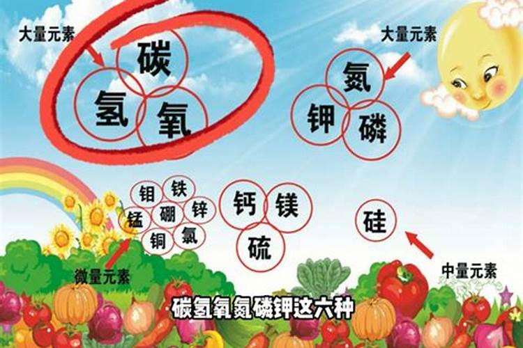含腐植酸水溶肥是什么肥料？怎么使用？