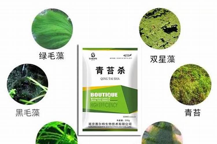 鱼蛋白不能与什么肥料混用,鱼蛋白肥料怎么制作