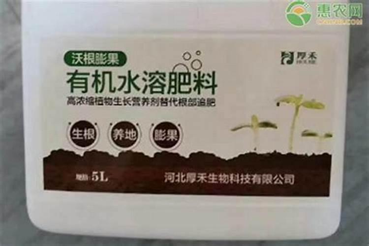 红糖液喷了黄瓜起什么作用,要求黄瓜皮亮需要喷什么