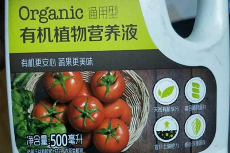 请教为何开花的时候不能施肥