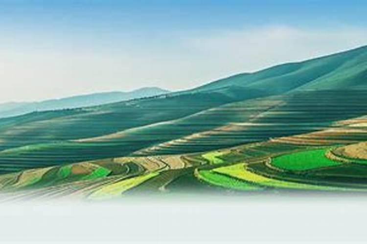 用什么药促进花芽分化