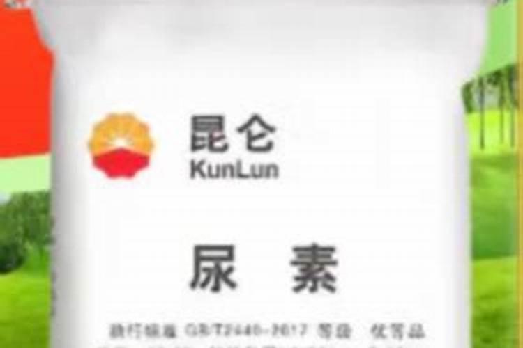 芦荟植物怎么养肥料(芦荟植物怎么养肥料？揭秘芦荟养护与施肥技巧...