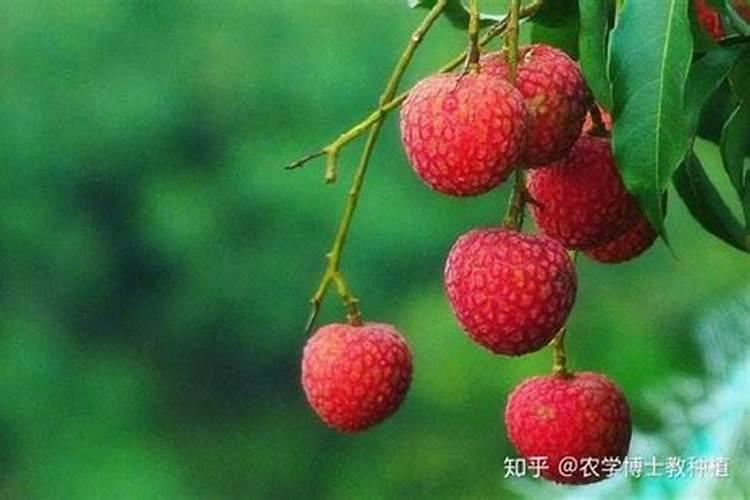 亚磷酸钾能和微量元素混用吗