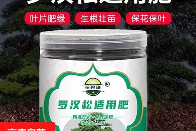 家庭养花:为什么不能施未腐熟肥料