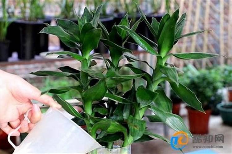 濮阳市回收废食用油的地方