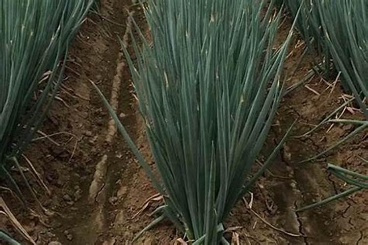 如何评价施蒂纳？