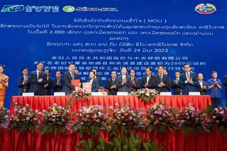 中国企业在老挝钾盐矿开发中的突破与挑战？