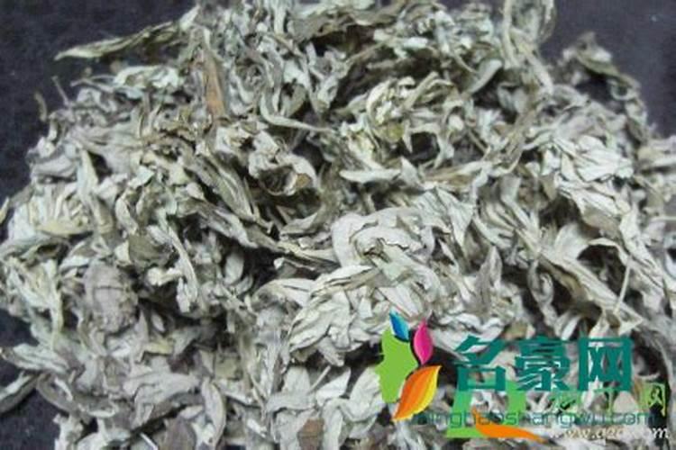 月季施肥的最佳时间