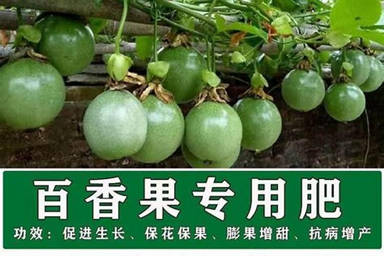 西红柿打什么叶面肥好