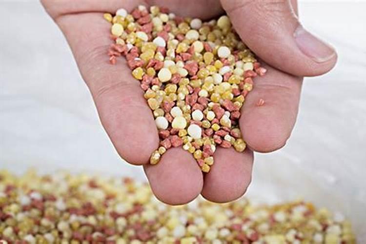 种水稻用什么肥料最好