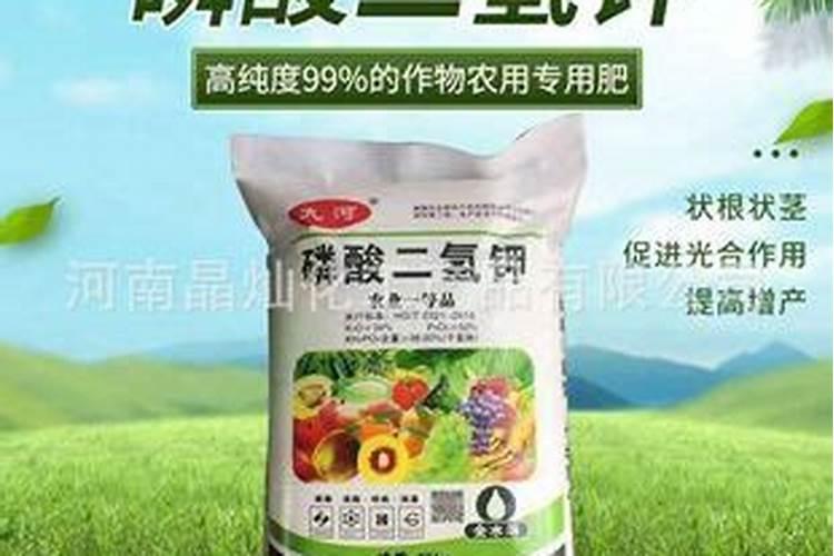 杜鹃花可以用什么肥 杜鹃花怎么施肥