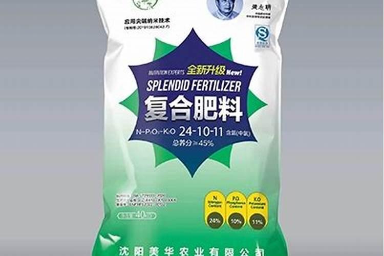 何浩明的人物经历
