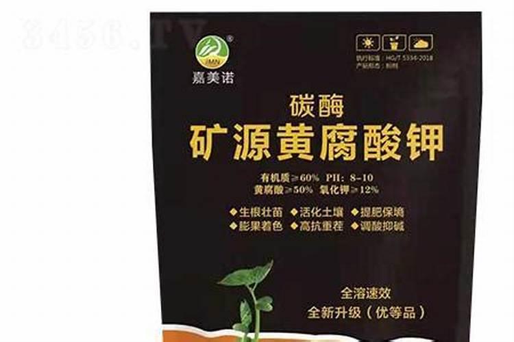 7月花芽分化技巧