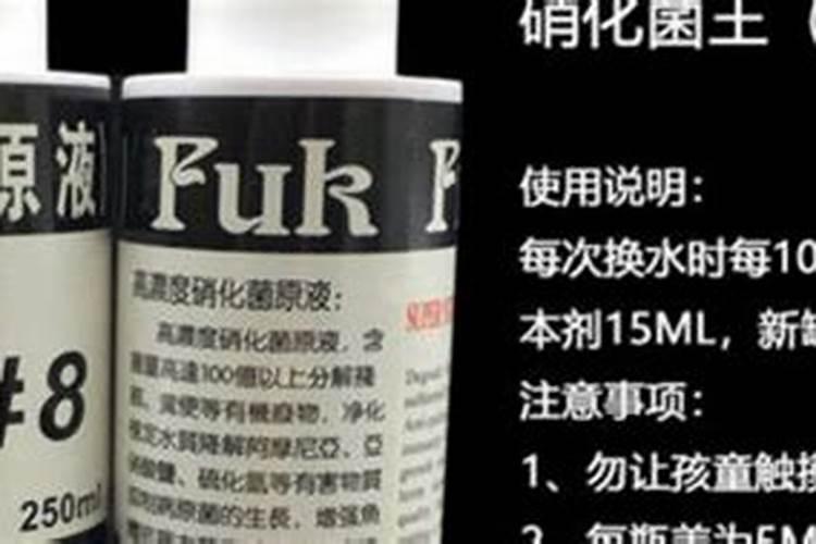 养花用什么肥料长得快